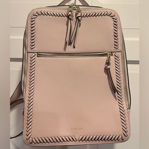 Calpak backpack laptop bag